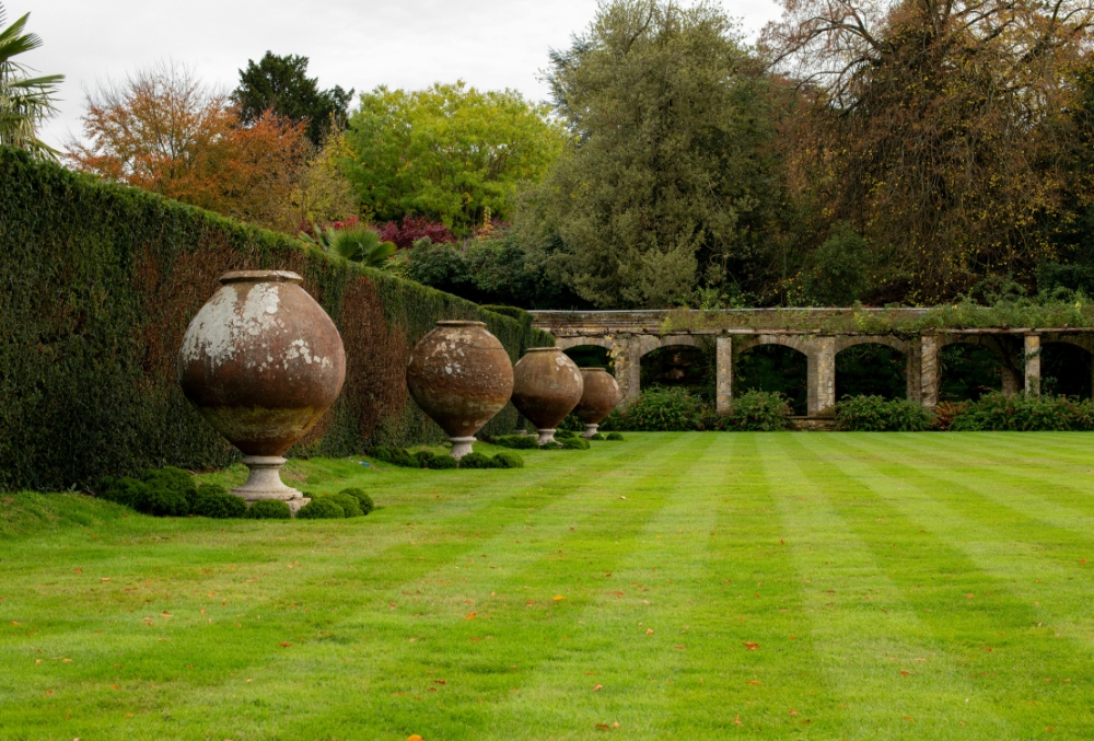 traditional lawn